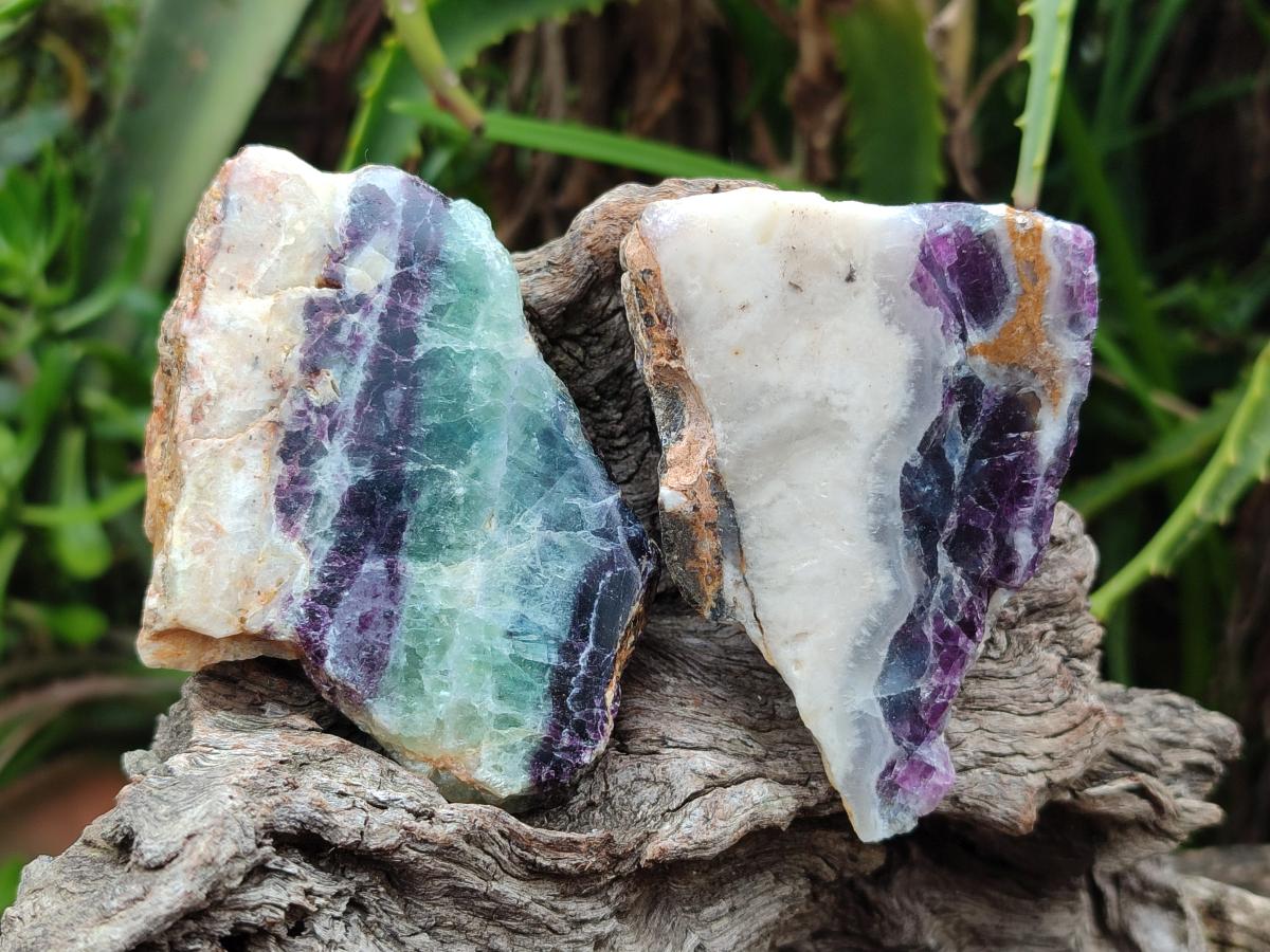 Polished On One Side Watermelon Fluorite Slices x 12 From Uis, Namibia - Toprock Gemstones and Minerals 