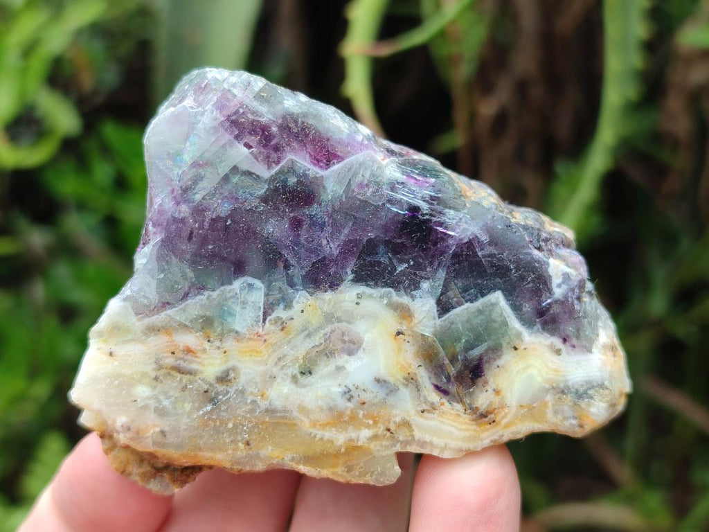 Polished On One Side Watermelon Fluorite Slices x 12 From Uis, Namibia - Toprock Gemstones and Minerals 
