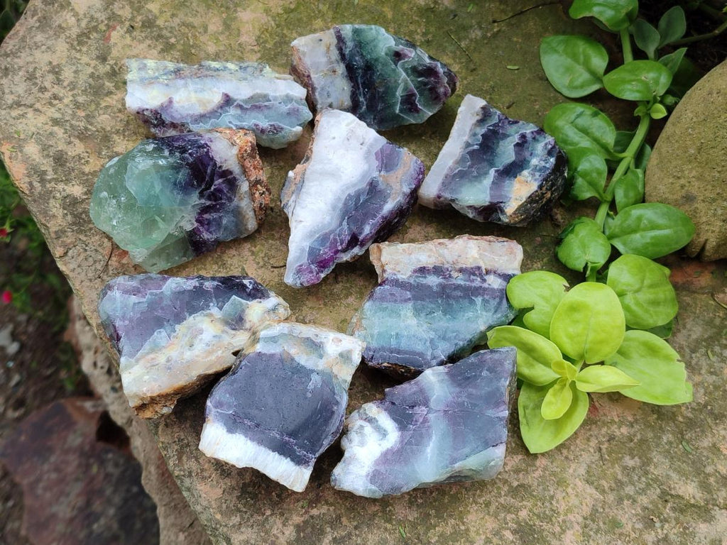 Polished On One Side Watermelon Fluorite Slices x 12 From Uis, Namibia - Toprock Gemstones and Minerals 