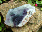 Polished On One Side Watermelon Fluorite Slices x 12 From Uis, Namibia - Toprock Gemstones and Minerals 