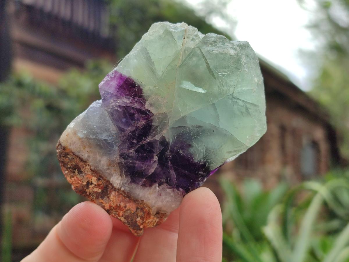 Polished On One Side Watermelon Fluorite Slices x 12 From Uis, Namibia - Toprock Gemstones and Minerals 