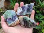 Polished On One Side Watermelon Fluorite Slices x 12 From Uis, Namibia - Toprock Gemstones and Minerals 