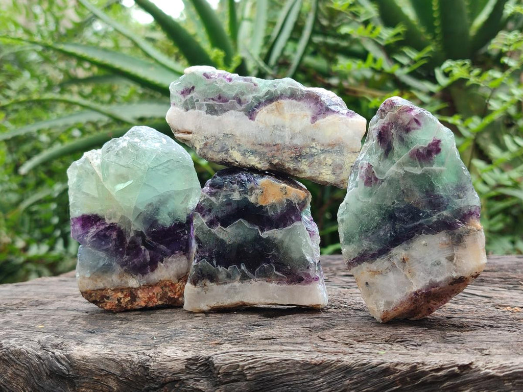 Polished On One Side Watermelon Fluorite Slices x 12 From Uis, Namibia - Toprock Gemstones and Minerals 