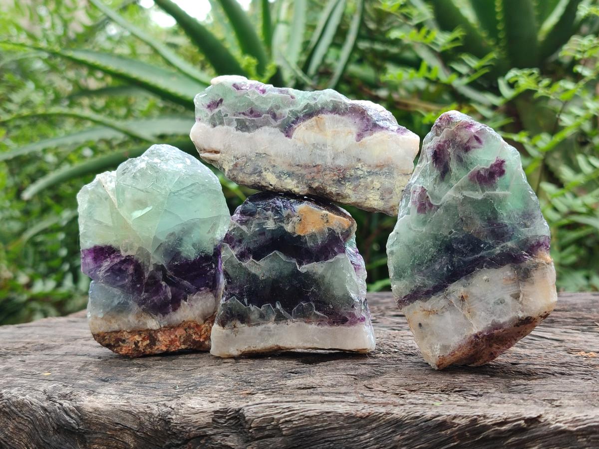 Polished On One Side Watermelon Fluorite Slices x 12 From Uis, Namibia - Toprock Gemstones and Minerals 