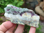 Polished On One Side Watermelon Fluorite Slices x 12 From Uis, Namibia - Toprock Gemstones and Minerals 