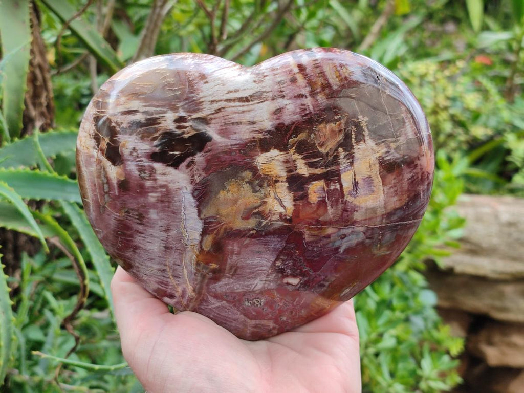 Polished Red Podocarpus Petrified Wood Hearts x 2 From Mahajanga, Madagascar - Toprock Gemstones and Minerals 