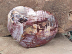 Polished Red Podocarpus Petrified Wood Hearts x 2 From Mahajanga, Madagascar - Toprock Gemstones and Minerals 