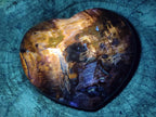 Polished Red Podocarpus Petrified Wood Hearts x 2 From Mahajanga, Madagascar - Toprock Gemstones and Minerals 