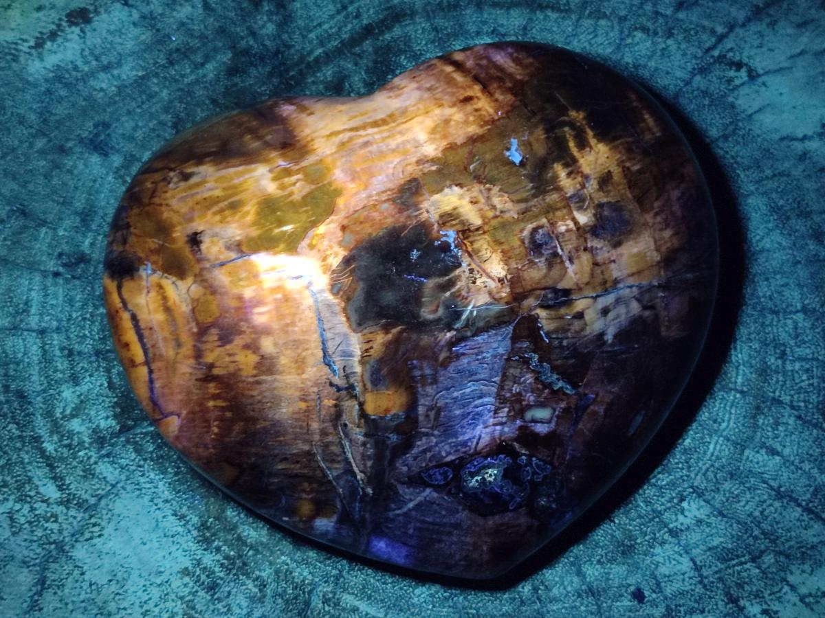 Polished Red Podocarpus Petrified Wood Hearts x 2 From Mahajanga, Madagascar - Toprock Gemstones and Minerals 