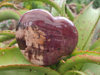 Polished Red Podocarpus Petrified Wood Hearts x 2 From Mahajanga, Madagascar - Toprock Gemstones and Minerals 