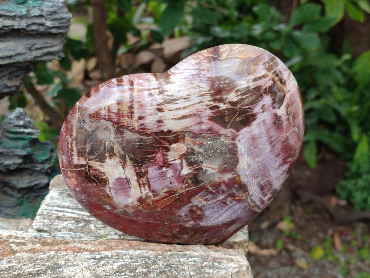 Polished Red Podocarpus Petrified Wood Hearts x 2 From Mahajanga, Madagascar - Toprock Gemstones and Minerals 