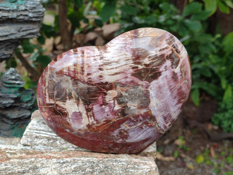 Polished Red Podocarpus Petrified Wood Hearts x 2 From Mahajanga, Madagascar - Toprock Gemstones and Minerals 