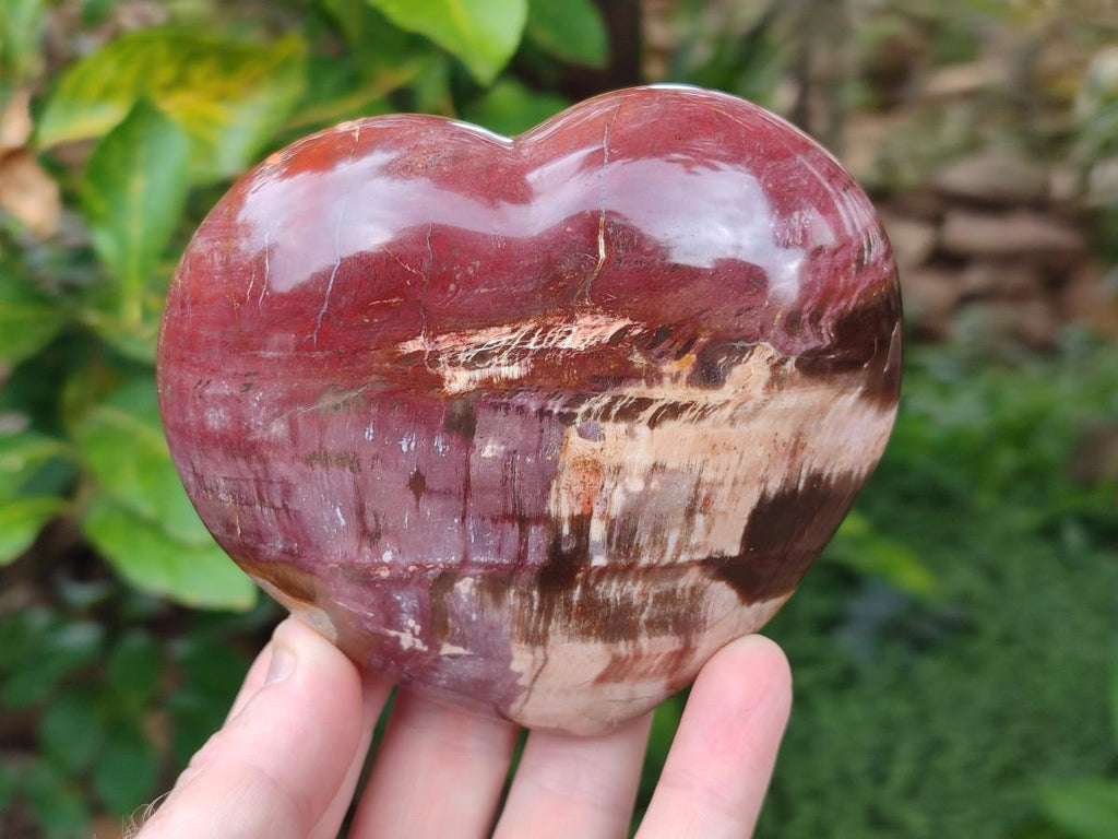 Polished Red Podocarpus Petrified Wood Hearts x 2 From Mahajanga, Madagascar - Toprock Gemstones and Minerals 