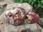 Polished Red Podocarpus Petrified Wood Hearts x 2 From Mahajanga, Madagascar - Toprock Gemstones and Minerals 