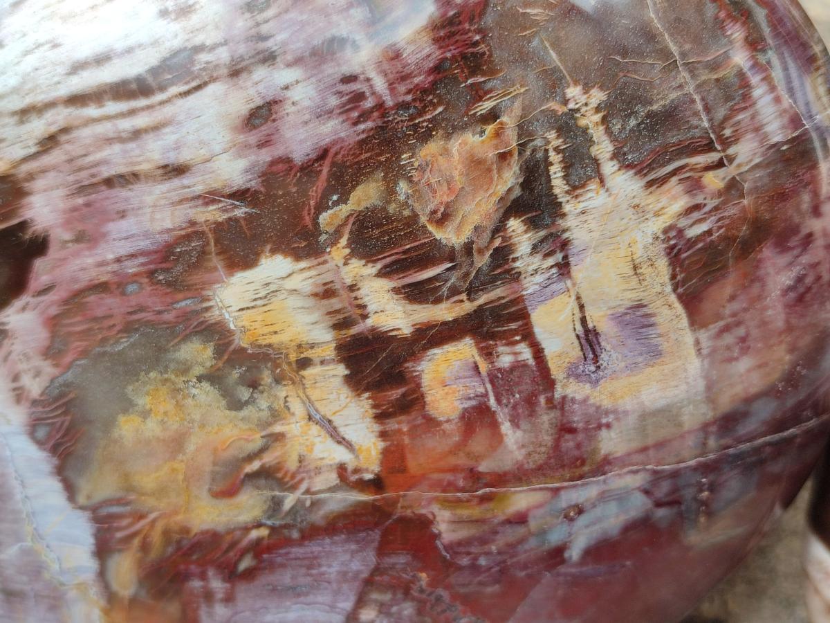 Polished Red Podocarpus Petrified Wood Hearts x 2 From Mahajanga, Madagascar - Toprock Gemstones and Minerals 