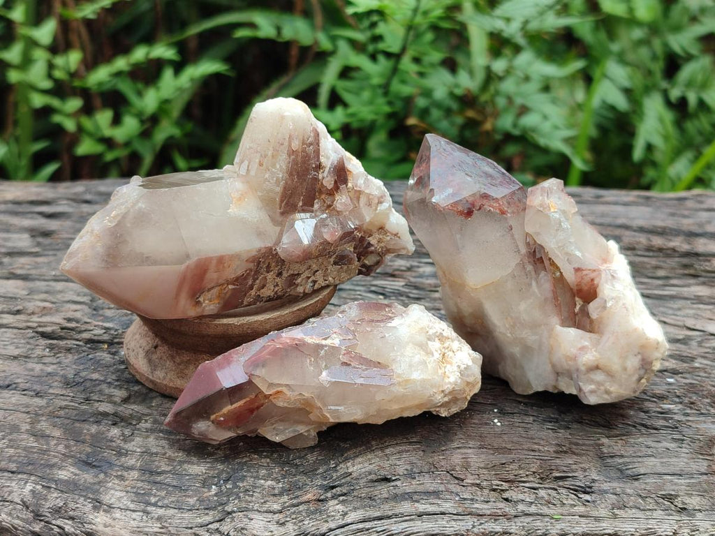 Natural Red Hematoid Quartz Crystals x 12 From Karoi, Zimbabwe - Toprock Gemstones and Minerals 