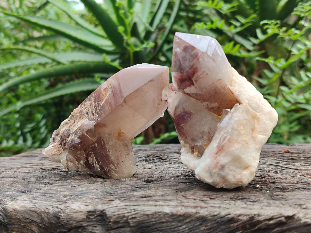 Natural Red Hematoid Quartz Crystals x 12 From Karoi, Zimbabwe - Toprock Gemstones and Minerals 
