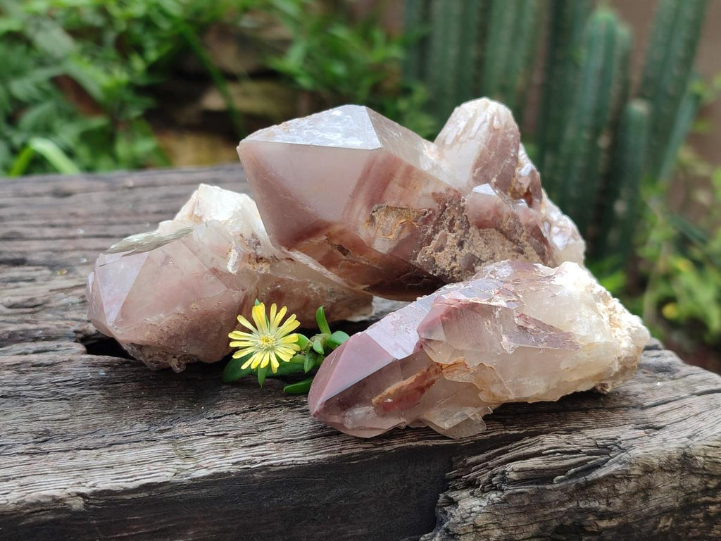 Natural Red Hematoid Quartz Crystals x 12 From Karoi, Zimbabwe - Toprock Gemstones and Minerals 