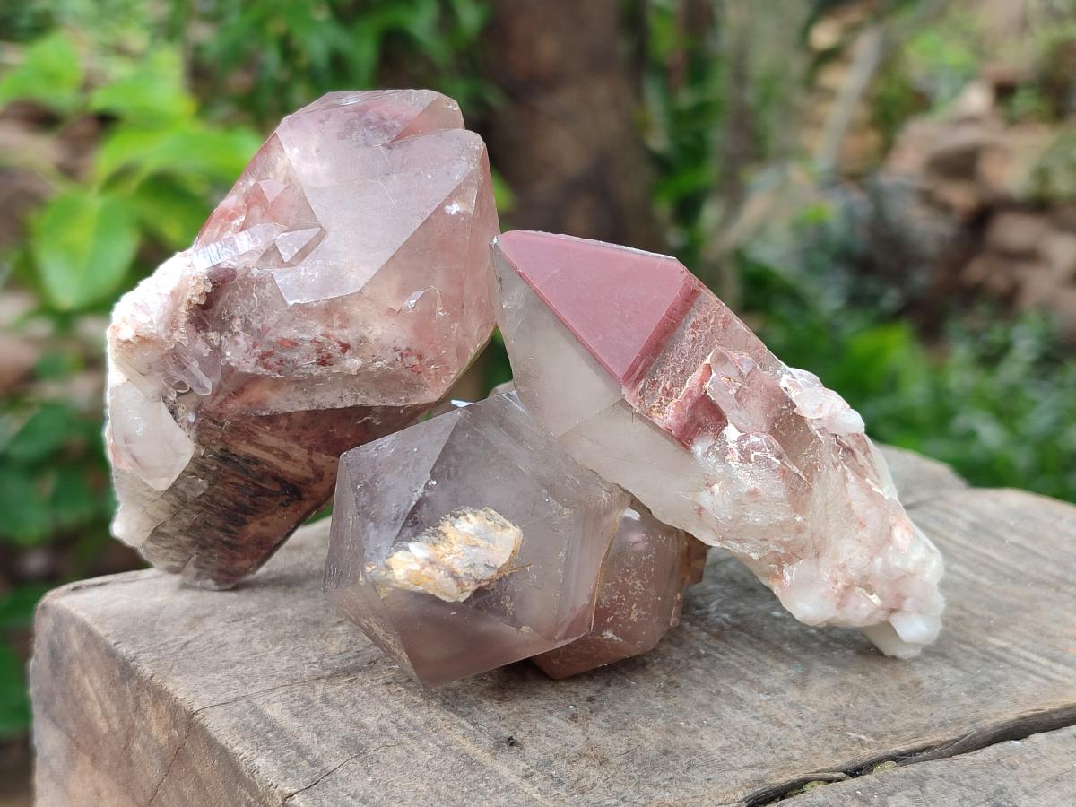 Natural Red Hematoid Quartz Crystals x 12 From Karoi, Zimbabwe - Toprock Gemstones and Minerals 