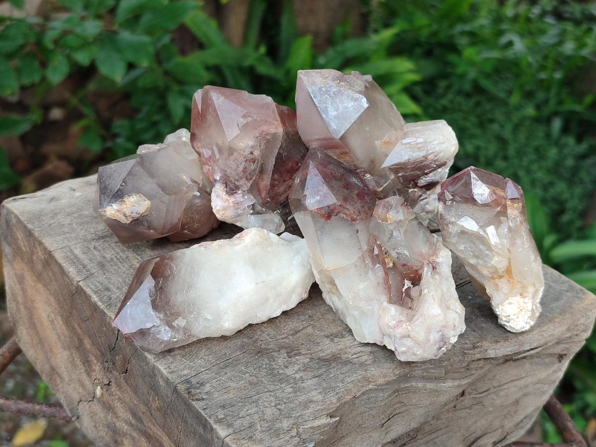 Natural Red Hematoid Quartz Crystals x 12 From Karoi, Zimbabwe - Toprock Gemstones and Minerals 