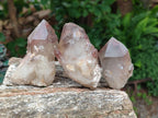 Natural Red Hematoid Quartz Crystals x 12 From Karoi, Zimbabwe - Toprock Gemstones and Minerals 