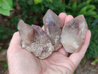 Natural Red Hematoid Quartz Crystals x 12 From Karoi, Zimbabwe - Toprock Gemstones and Minerals 