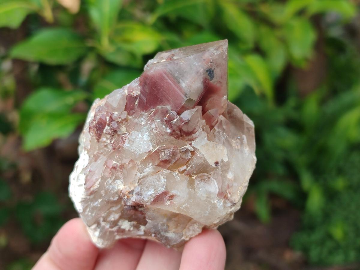 Natural Red Hematoid Quartz Crystals x 12 From Karoi, Zimbabwe - Toprock Gemstones and Minerals 