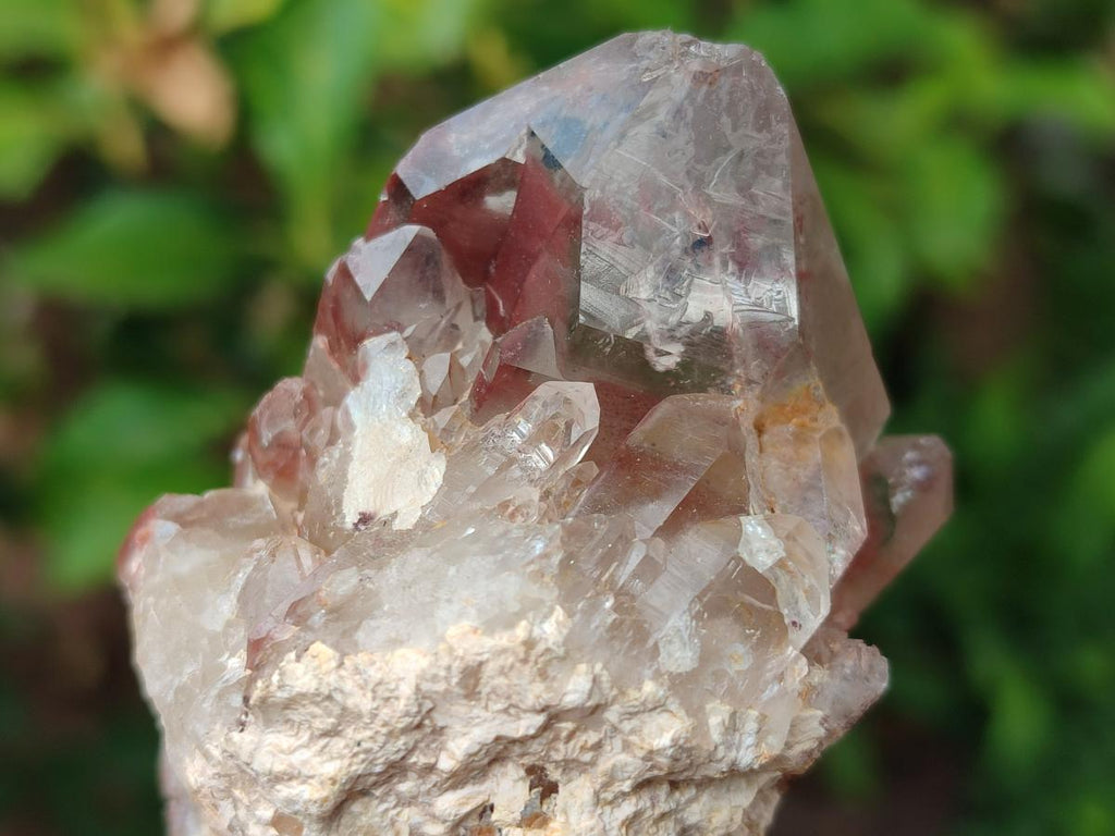 Natural Red Hematoid Quartz Crystals x 12 From Karoi, Zimbabwe - Toprock Gemstones and Minerals 