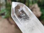 Polished Clear Optic Quartz Display Crystals x 6 From Madagascar - Toprock Gemstones and Minerals 