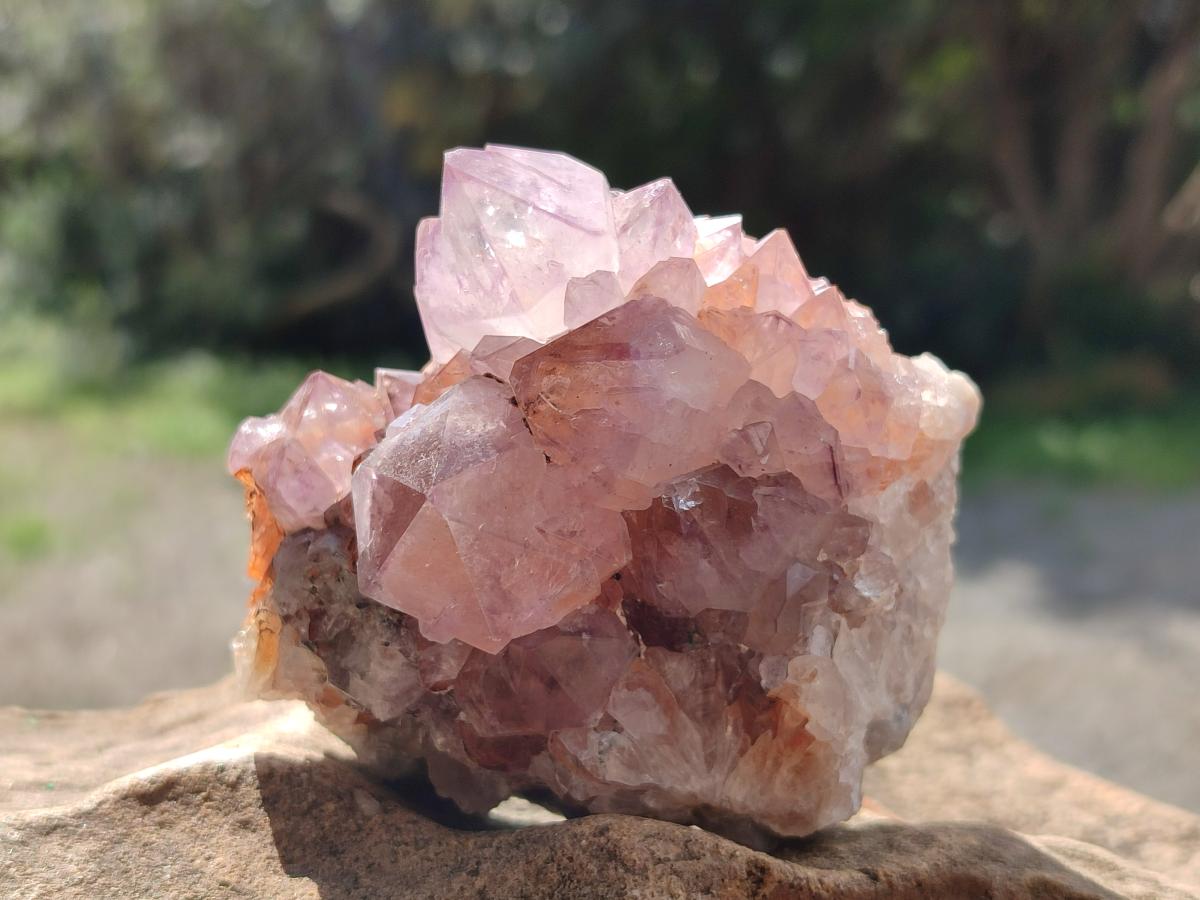 Natural Sunburst Spirit Amethyst Clusters x 6 From Boekenhouthoek, South Africa - Toprock Gemstones and Minerals 