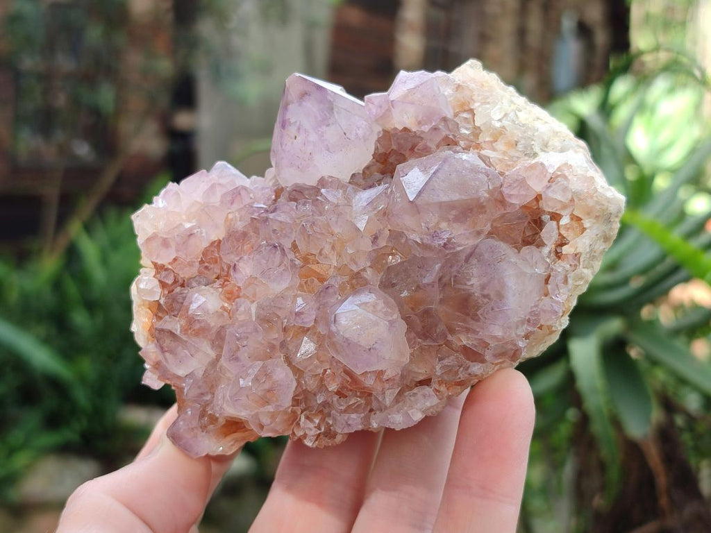Natural Sunburst Spirit Amethyst Clusters x 6 From Boekenhouthoek, South Africa - Toprock Gemstones and Minerals 