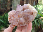 Natural Sunburst Spirit Amethyst Clusters x 6 From Boekenhouthoek, South Africa - Toprock Gemstones and Minerals 