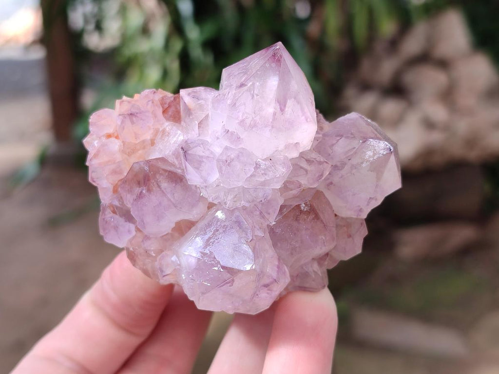 Natural Sunburst Spirit Amethyst Clusters x 6 From Boekenhouthoek, South Africa - Toprock Gemstones and Minerals 