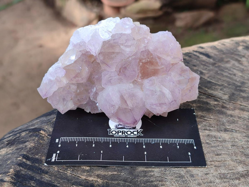 Natural Sunburst Spirit Amethyst Clusters x 6 From Boekenhouthoek, South Africa - Toprock Gemstones and Minerals 