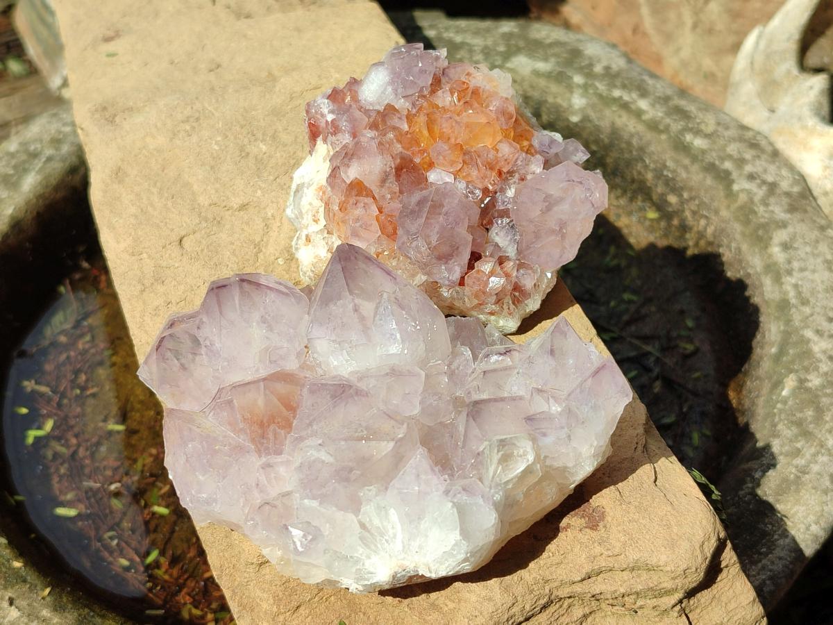 Natural Sunburst Spirit Amethyst Clusters x 6 From Boekenhouthoek, South Africa - Toprock Gemstones and Minerals 