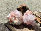 Natural Sunburst Spirit Amethyst Clusters x 6 From Boekenhouthoek, South Africa - Toprock Gemstones and Minerals 