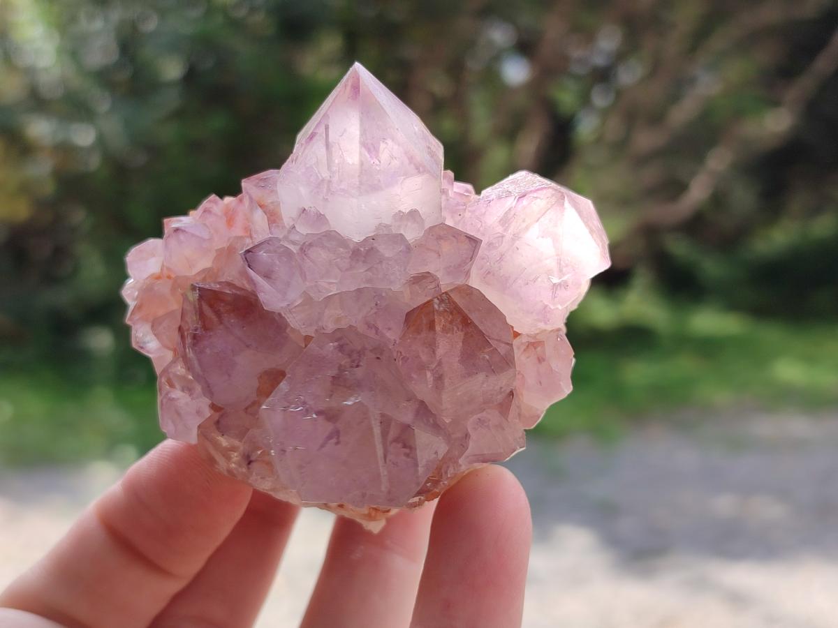 Natural Sunburst Spirit Amethyst Clusters x 6 From Boekenhouthoek, South Africa - Toprock Gemstones and Minerals 