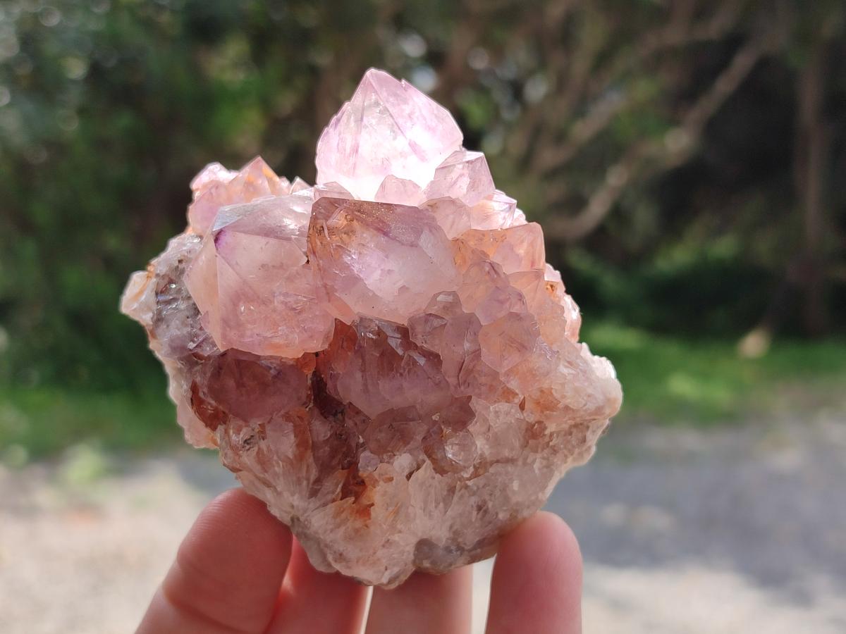 Natural Sunburst Spirit Amethyst Clusters x 6 From Boekenhouthoek, South Africa - Toprock Gemstones and Minerals 