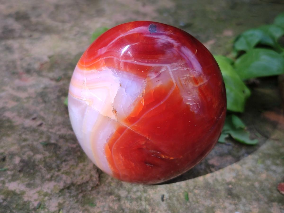 Polished Carnelian Agate Gemstone Standing Display Pieces x 5 From Madagascar - Toprock Gemstones and Minerals 
