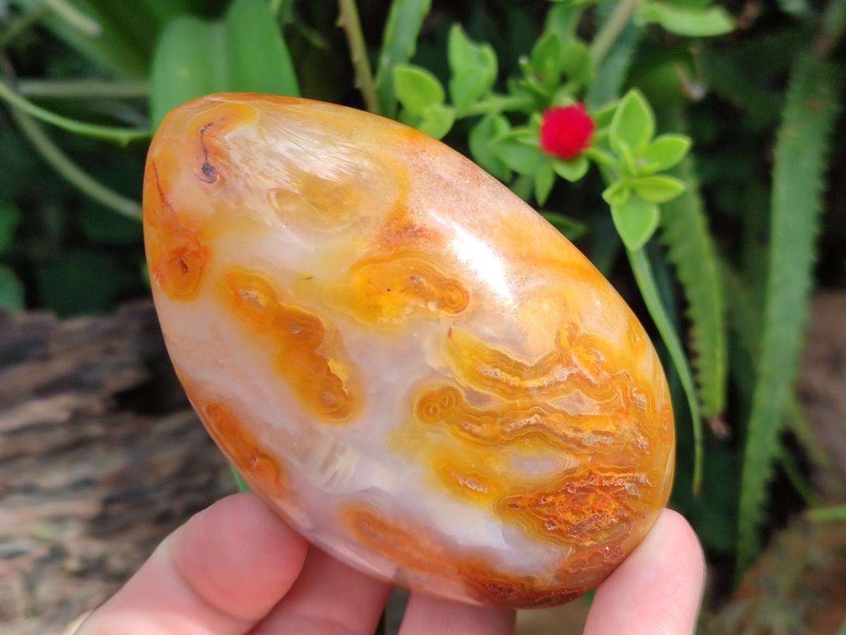 Polished Carnelian Agate Gemstone Standing Display Pieces x 5 From Madagascar - Toprock Gemstones and Minerals 