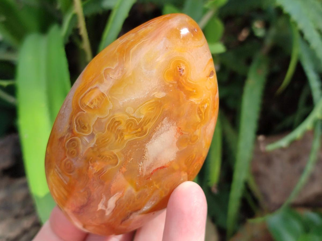Polished Carnelian Agate Gemstone Standing Display Pieces x 5 From Madagascar - Toprock Gemstones and Minerals 