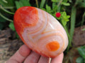 Polished Carnelian Agate Gemstone Standing Display Pieces x 5 From Madagascar - Toprock Gemstones and Minerals 