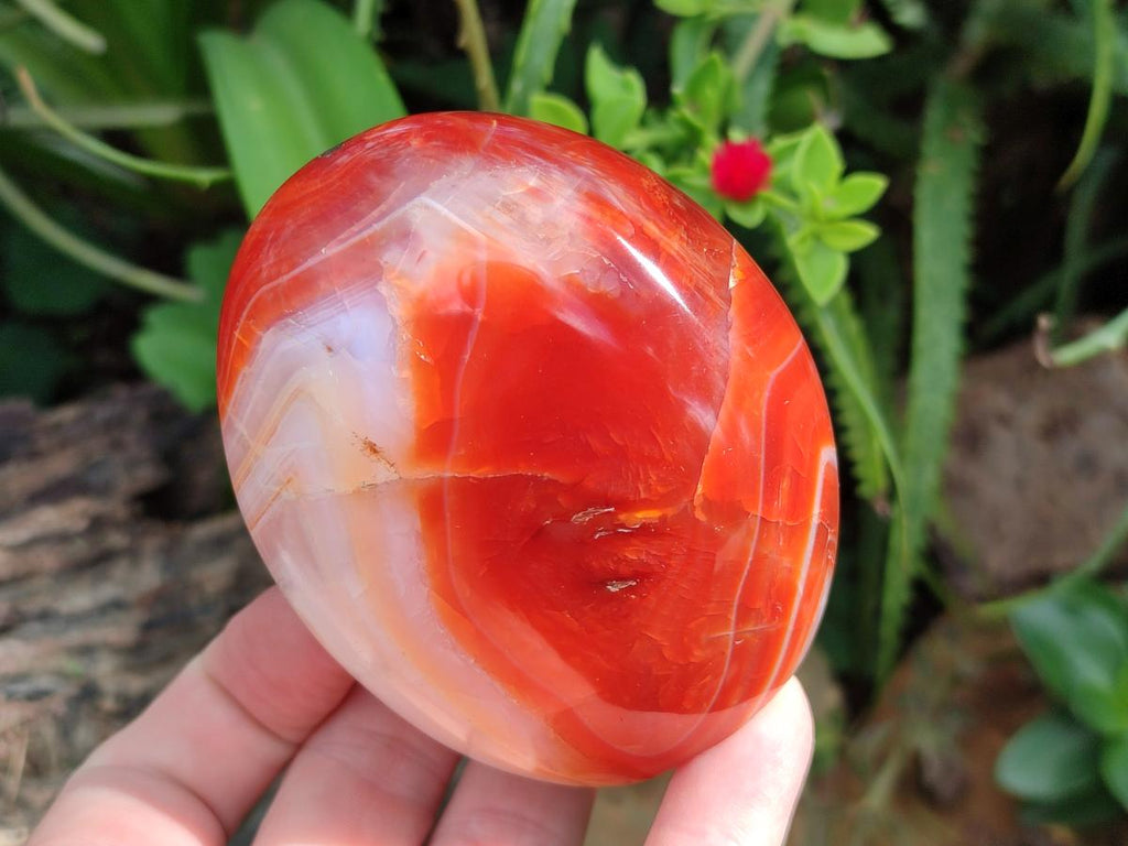 Polished Carnelian Agate Gemstone Standing Display Pieces x 5 From Madagascar - Toprock Gemstones and Minerals 