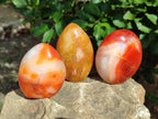 Polished Carnelian Agate Gemstone Standing Display Pieces x 5 From Madagascar - Toprock Gemstones and Minerals 