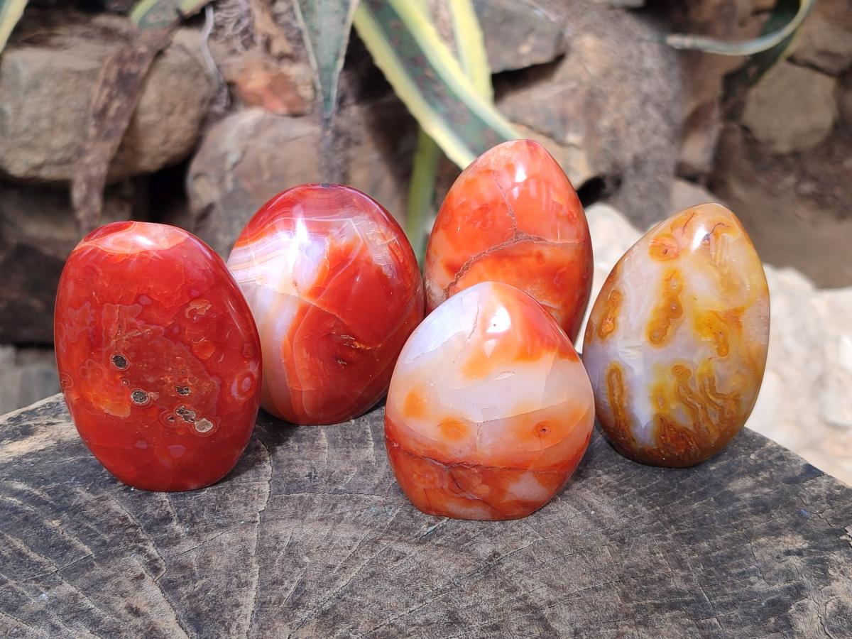 Polished Carnelian Agate Gemstone Standing Display Pieces x 5 From Madagascar - Toprock Gemstones and Minerals 