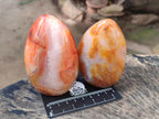 Polished Carnelian Agate Gemstone Standing Display Pieces x 5 From Madagascar - Toprock Gemstones and Minerals 