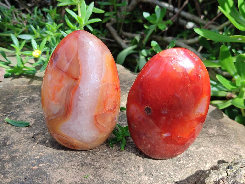 Polished Carnelian Agate Gemstone Standing Display Pieces x 5 From Madagascar - Toprock Gemstones and Minerals 