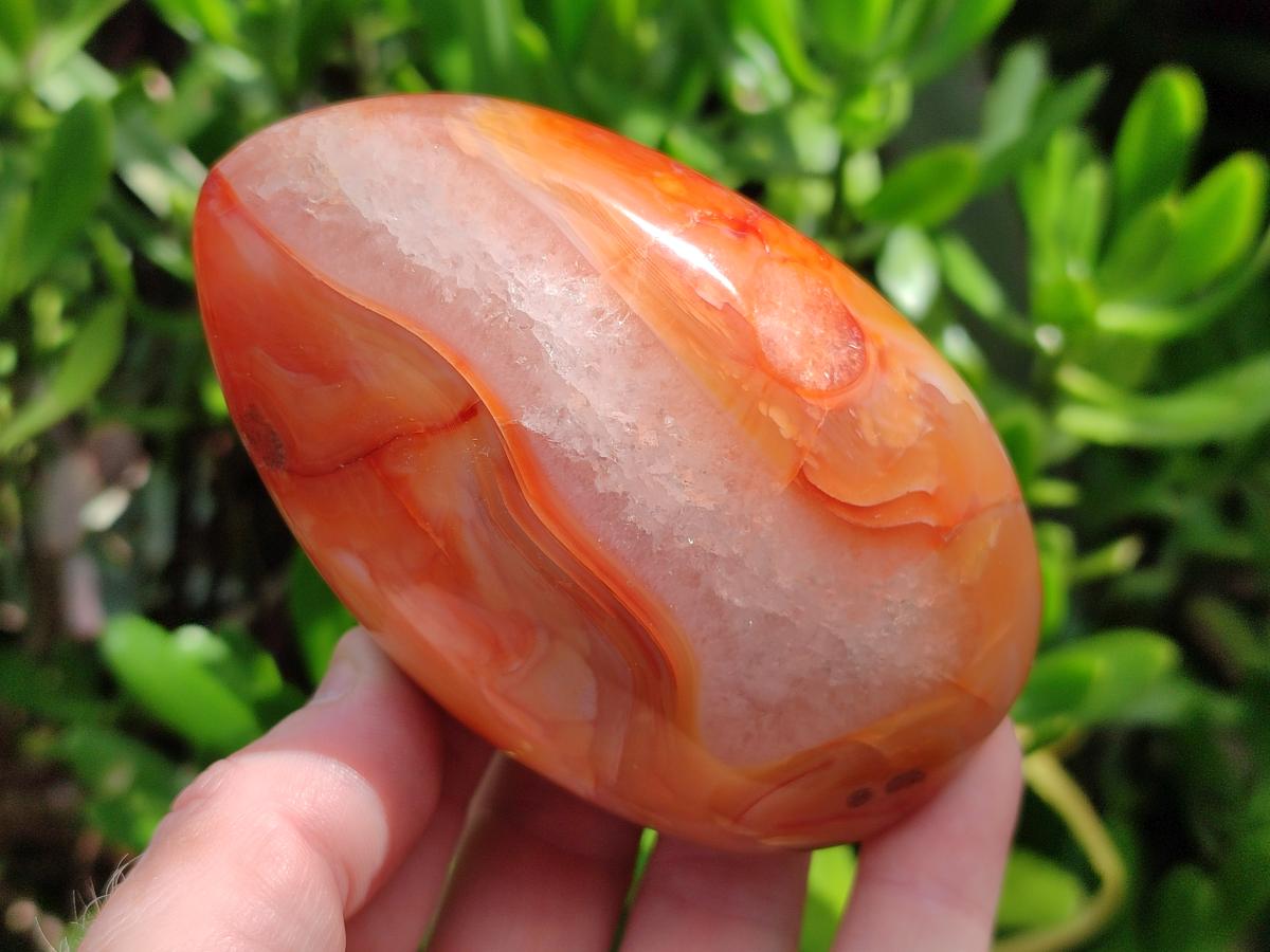 Polished Carnelian Agate Gemstone Standing Display Pieces x 5 From Madagascar - Toprock Gemstones and Minerals 