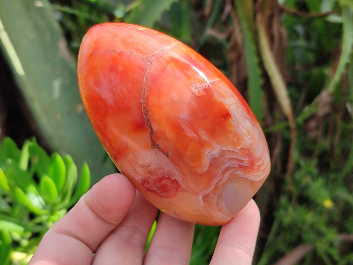 Polished Carnelian Agate Gemstone Standing Display Pieces x 5 From Madagascar - Toprock Gemstones and Minerals 