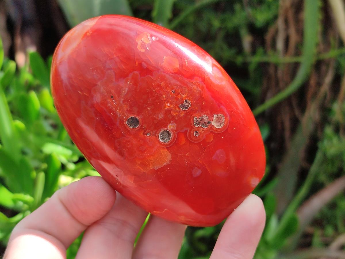 Polished Carnelian Agate Gemstone Standing Display Pieces x 5 From Madagascar - Toprock Gemstones and Minerals 